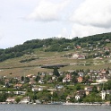 Vignes grelees Lavaux - 097